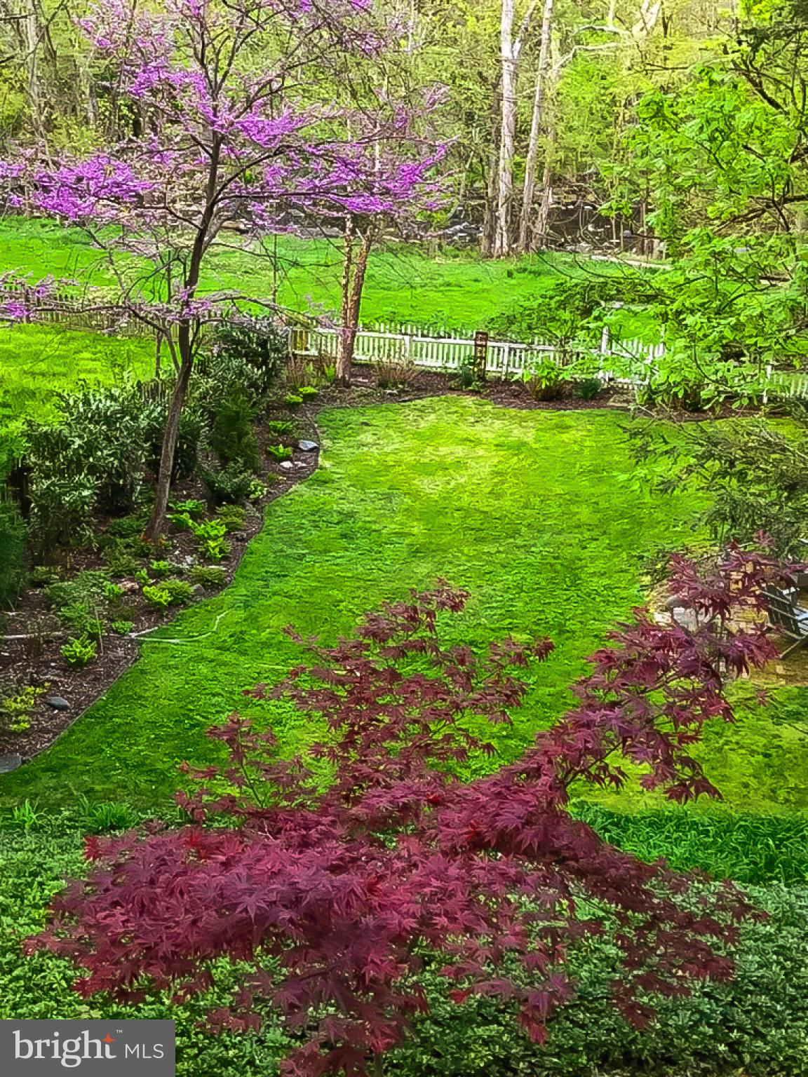 2443 Pickwick Road Baltimore, MD 21207 - Photo 65 of 108 a view of a garden with a tree