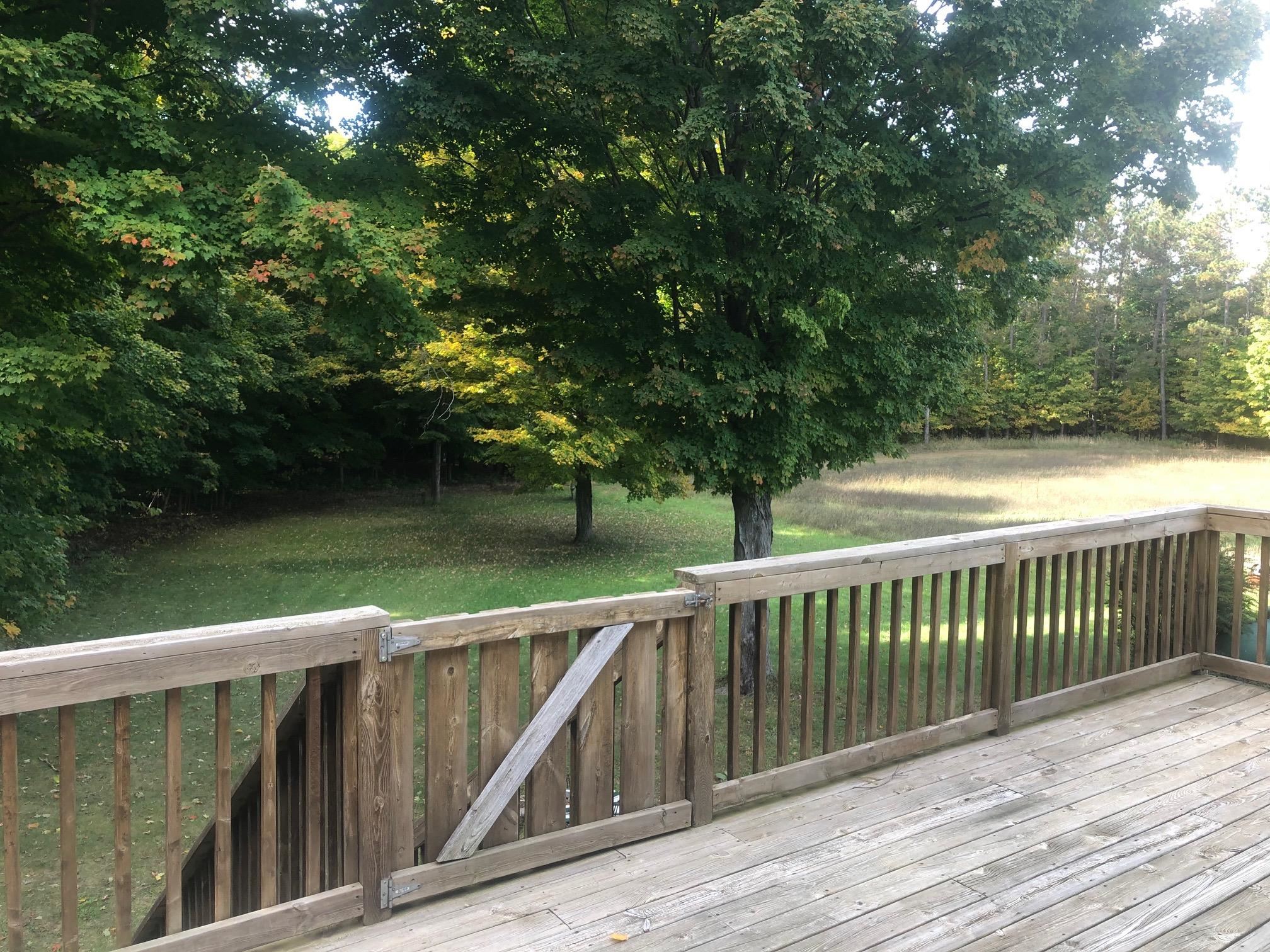 3406 Peckens Road Honor, MI 49640 - Photo 11 of 51 1906221-10.JPG