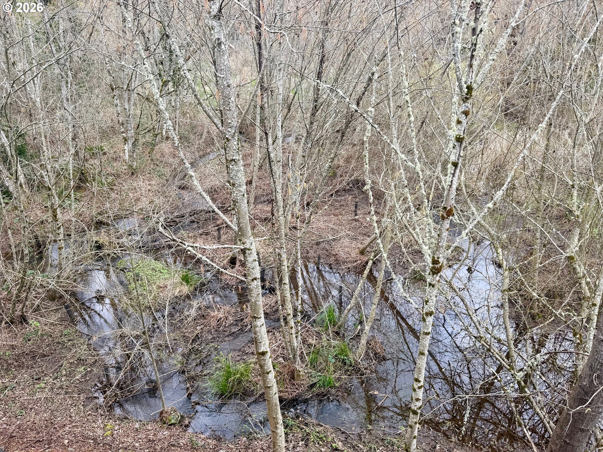37071 Dubarko Road Sandy, OR 97055 - Photo 34 of 45