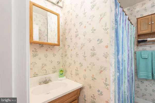 a bathroom with a sink and a shower curtain