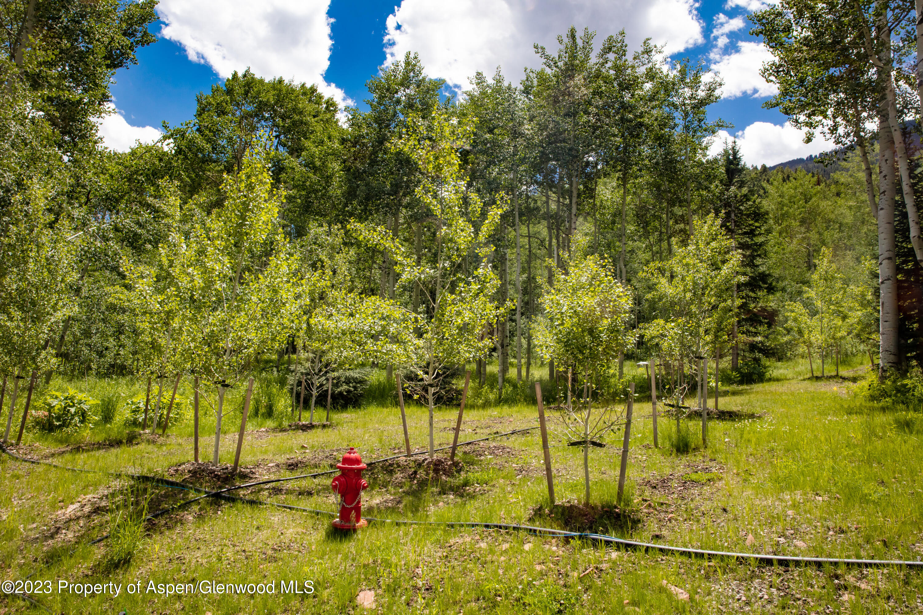 640 South Hayden Road Aspen, CO 81611 - Photo 26 of 42 12