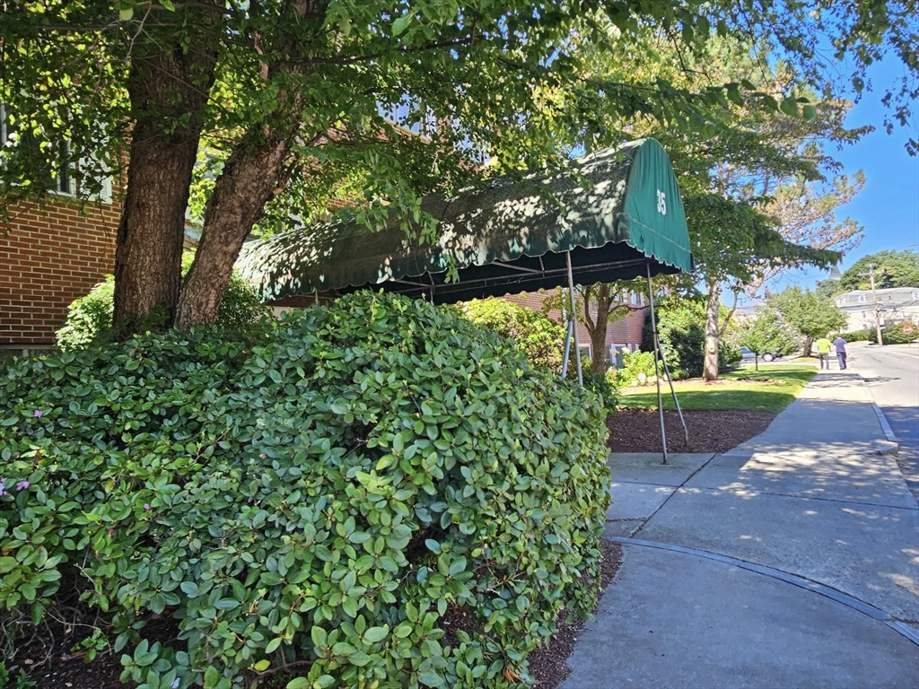 35 Prospect Street, Unit 215 Woburn, MA 01801 - Photo 24 of 37 a view of a park with large trees