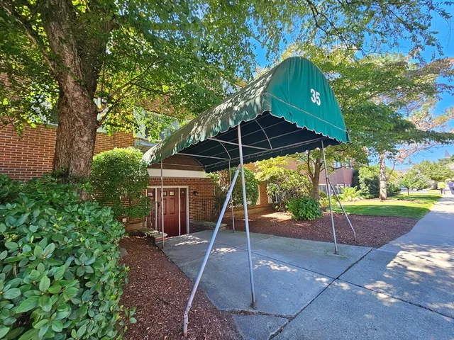 a view of backyard with garden