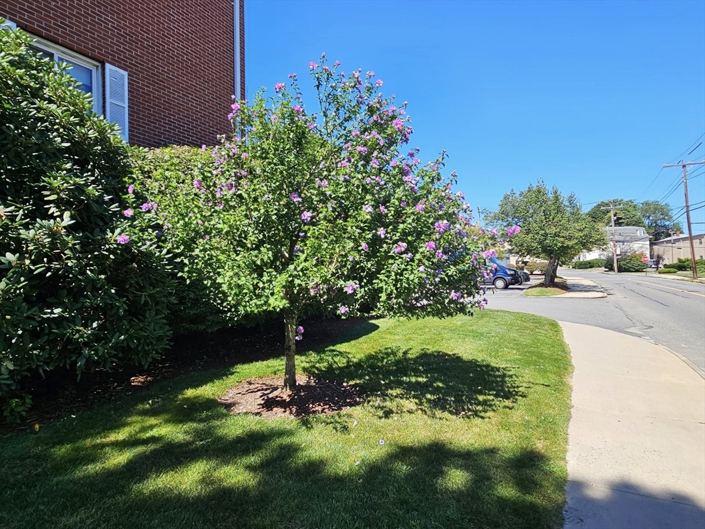 35 Prospect Street, Unit 215 Woburn, MA 01801 - Photo 37 of 37 a backyard of a house with lots of green space