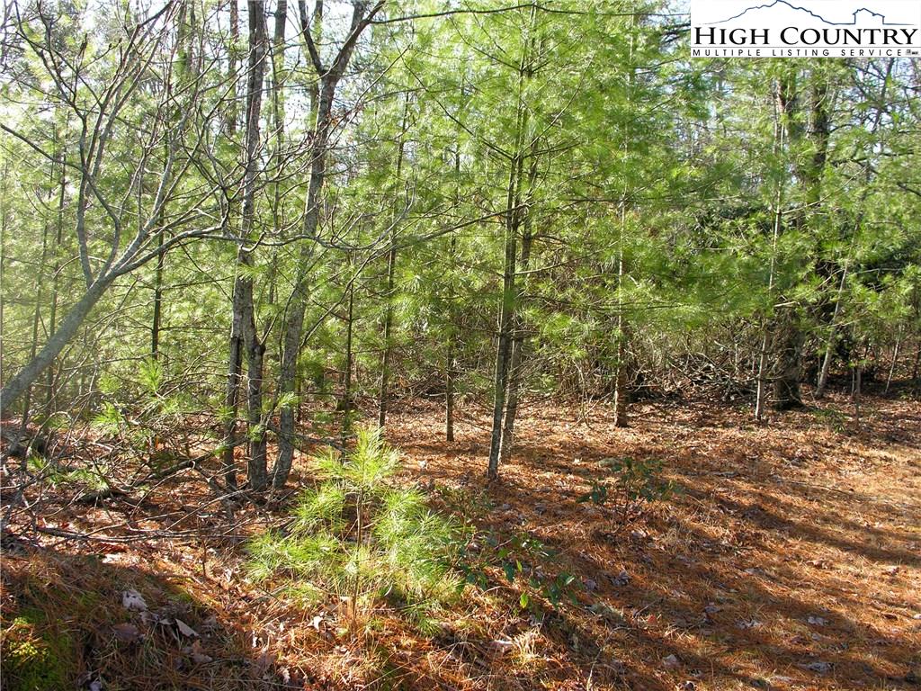 15 Country Ridge Road Jefferson, NC 28640 - Photo 2 of 5 Gallery Image 2