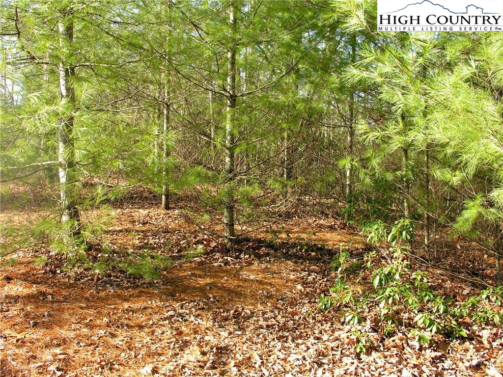 15 Country Ridge Road Jefferson, NC 28640 - Photo 3 of 5 Gallery Image 3
