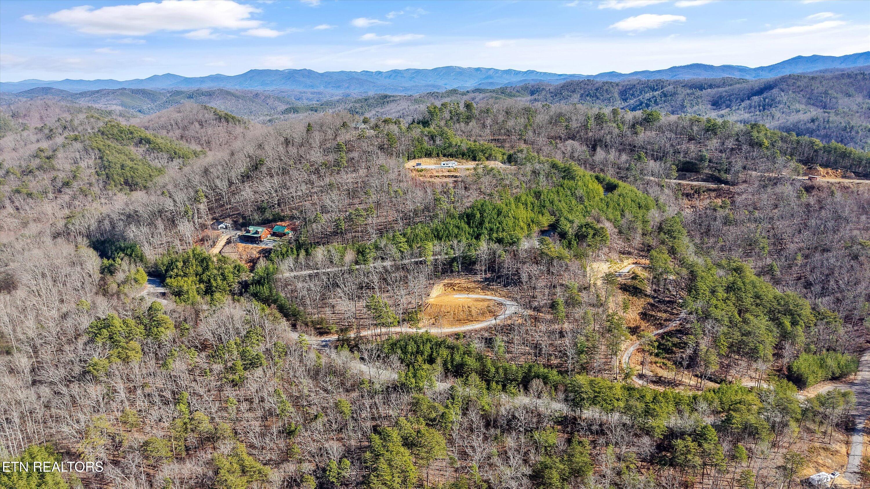 117 Indian Ridge Drive Tellico Plains, TN 37385 - Photo 11 of 24 02-117 Indian Ridge Dr07