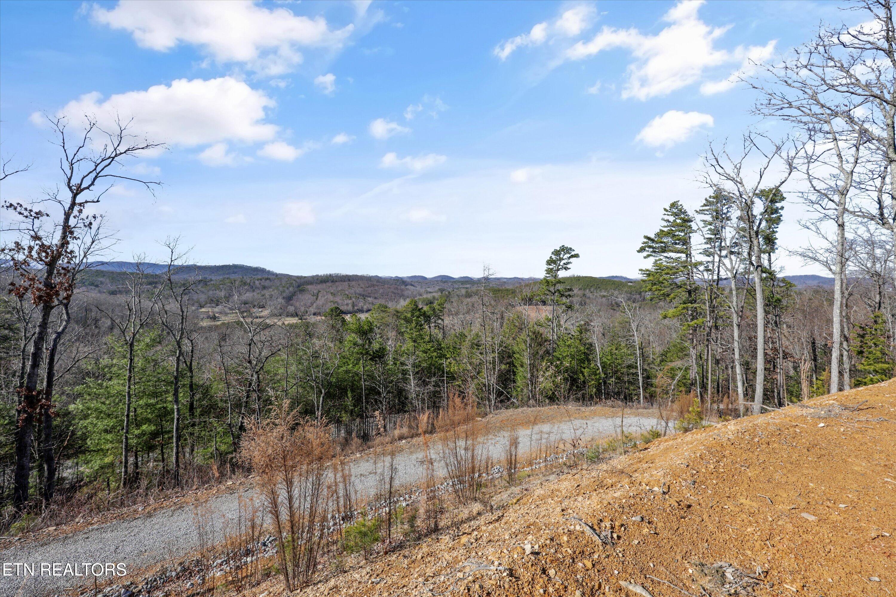 117 Indian Ridge Drive Tellico Plains, TN 37385 - Photo 14 of 24 07-117 Indian Ridge Dr01