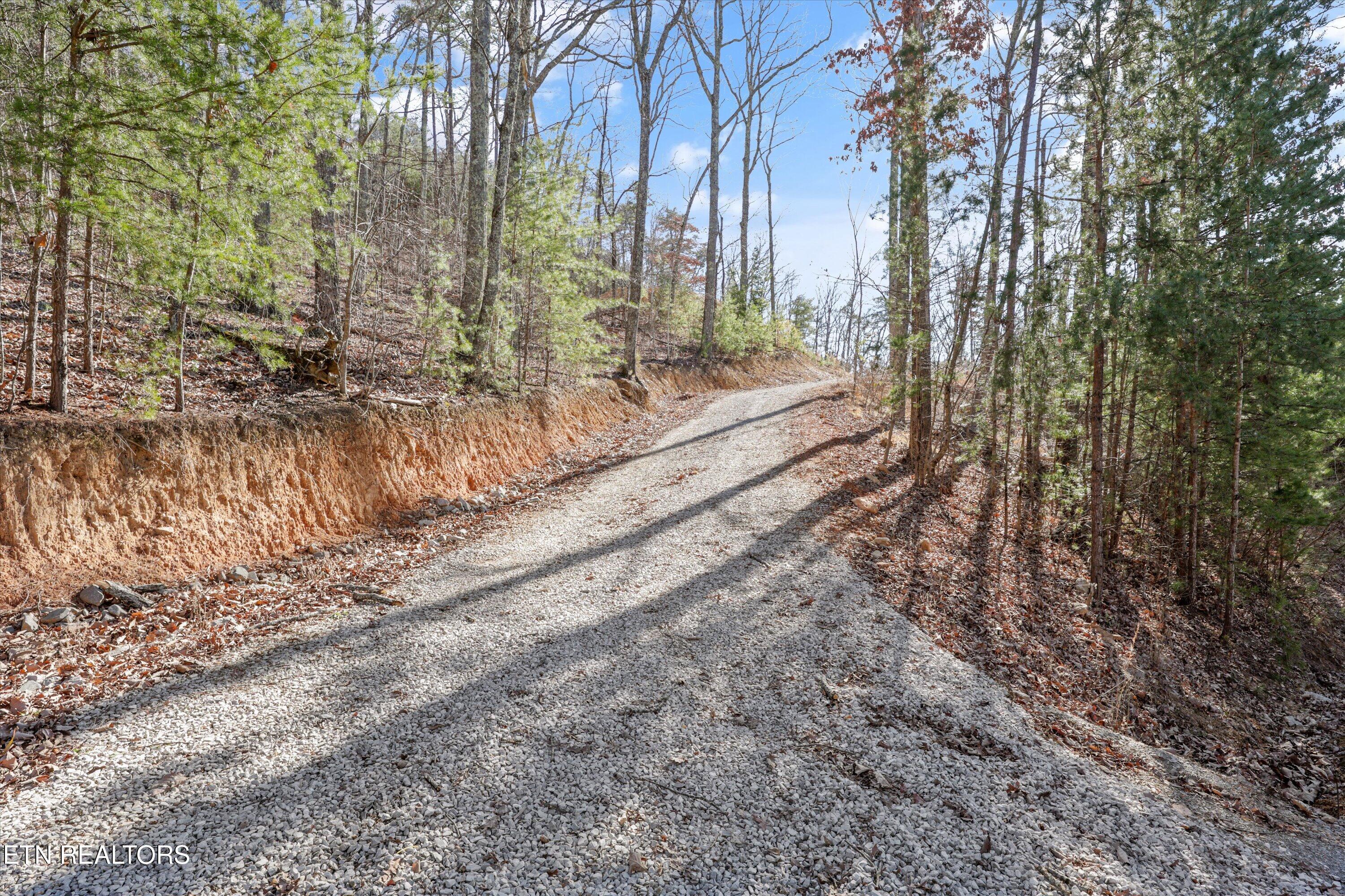 117 Indian Ridge Drive Tellico Plains, TN 37385 - Photo 15 of 24 08-117 Indian Ridge Dr10