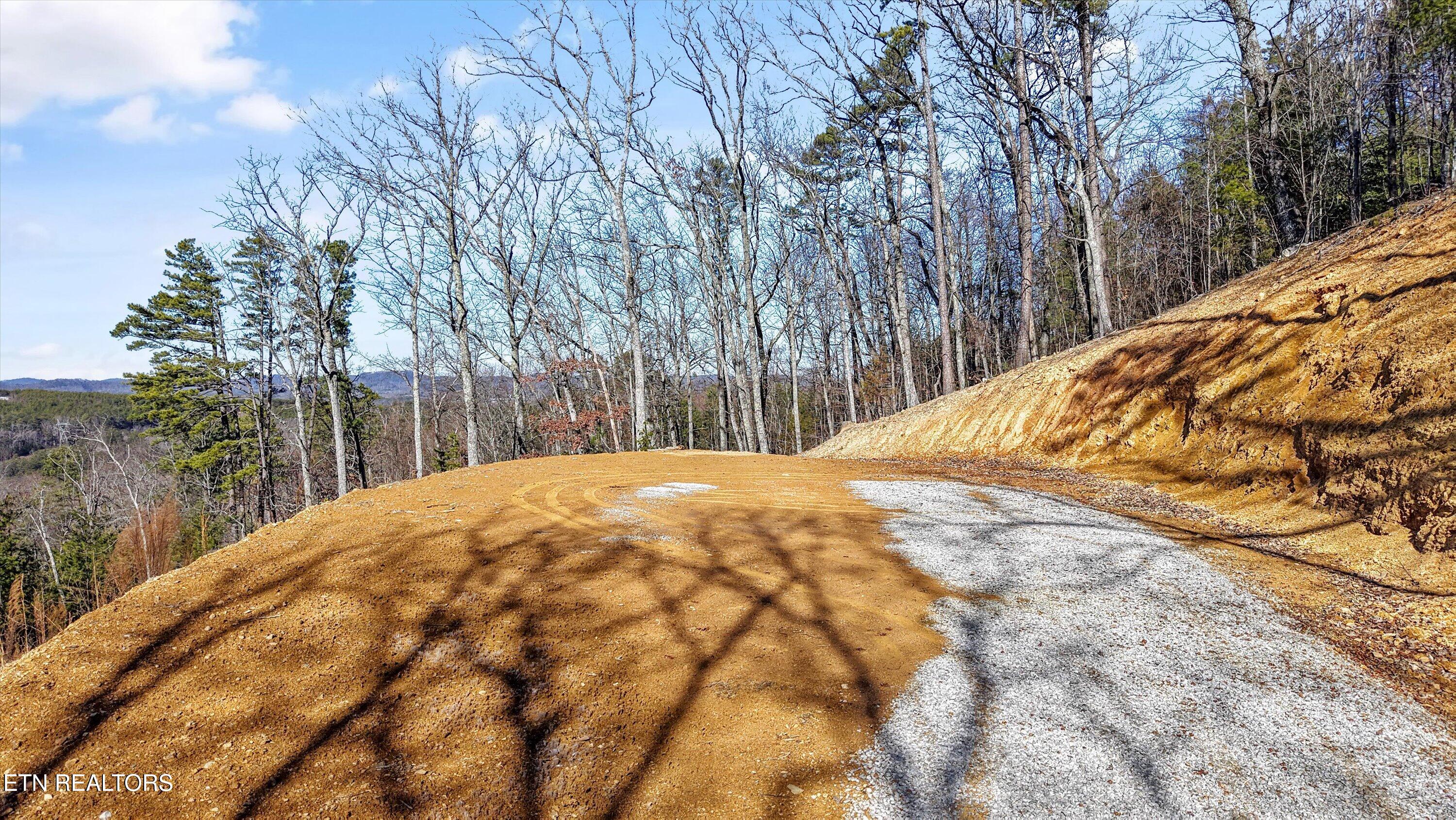 117 Indian Ridge Drive Tellico Plains, TN 37385 - Photo 16 of 24 10-117 Indian Ridge Dr03