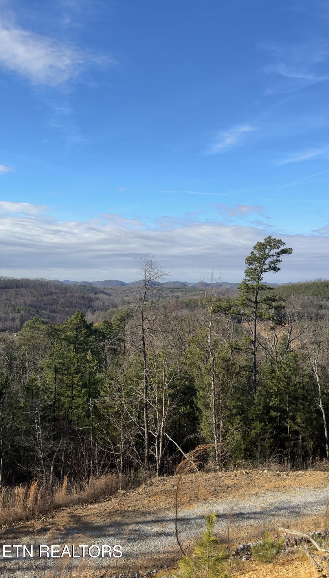 117 Indian Ridge Drive Tellico Plains, TN 37385 - Photo 4 of 24 View recent photos