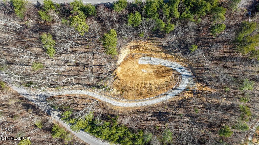 117 Indian Ridge Drive Tellico Plains, TN 37385 - Photo 6 of 24 IMG_1942