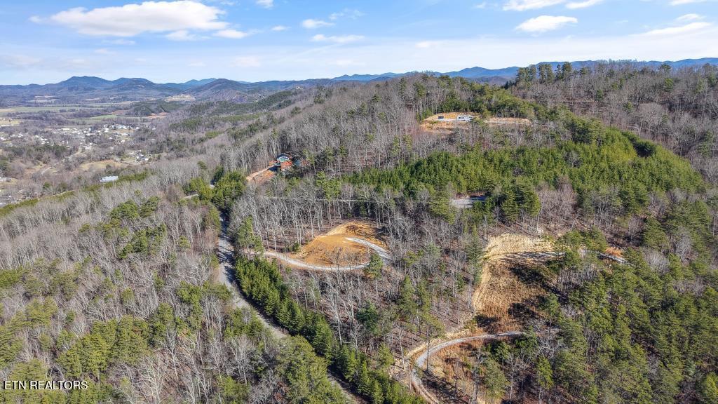 117 Indian Ridge Drive Tellico Plains, TN 37385 - Photo 8 of 24 IMG_1939