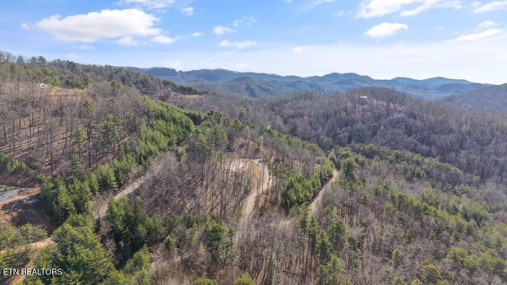 117 Indian Ridge Drive Tellico Plains, TN 37385 - Photo 9 of 24 IMG_1945