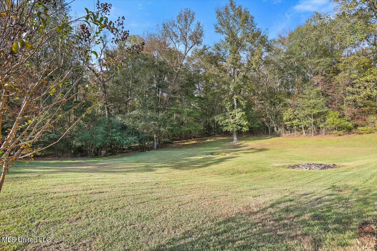 1649 Old Pearl Road Florence, MS 39073 - Photo 38 of 72 tempImageZTUdWO