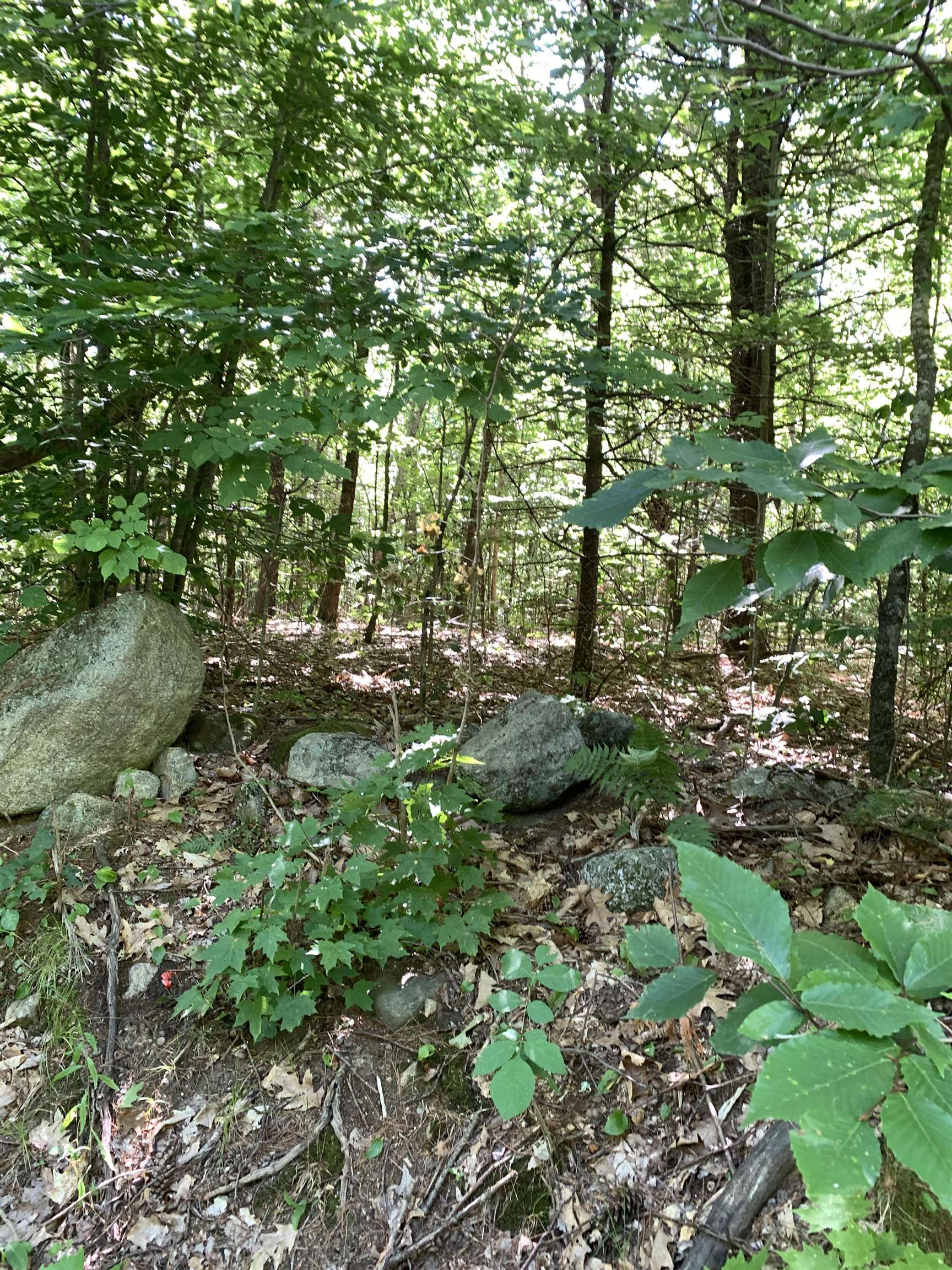 0 Reservation Road, Unit 621 Deerfield, NH 03037 - Photo 4 of 11