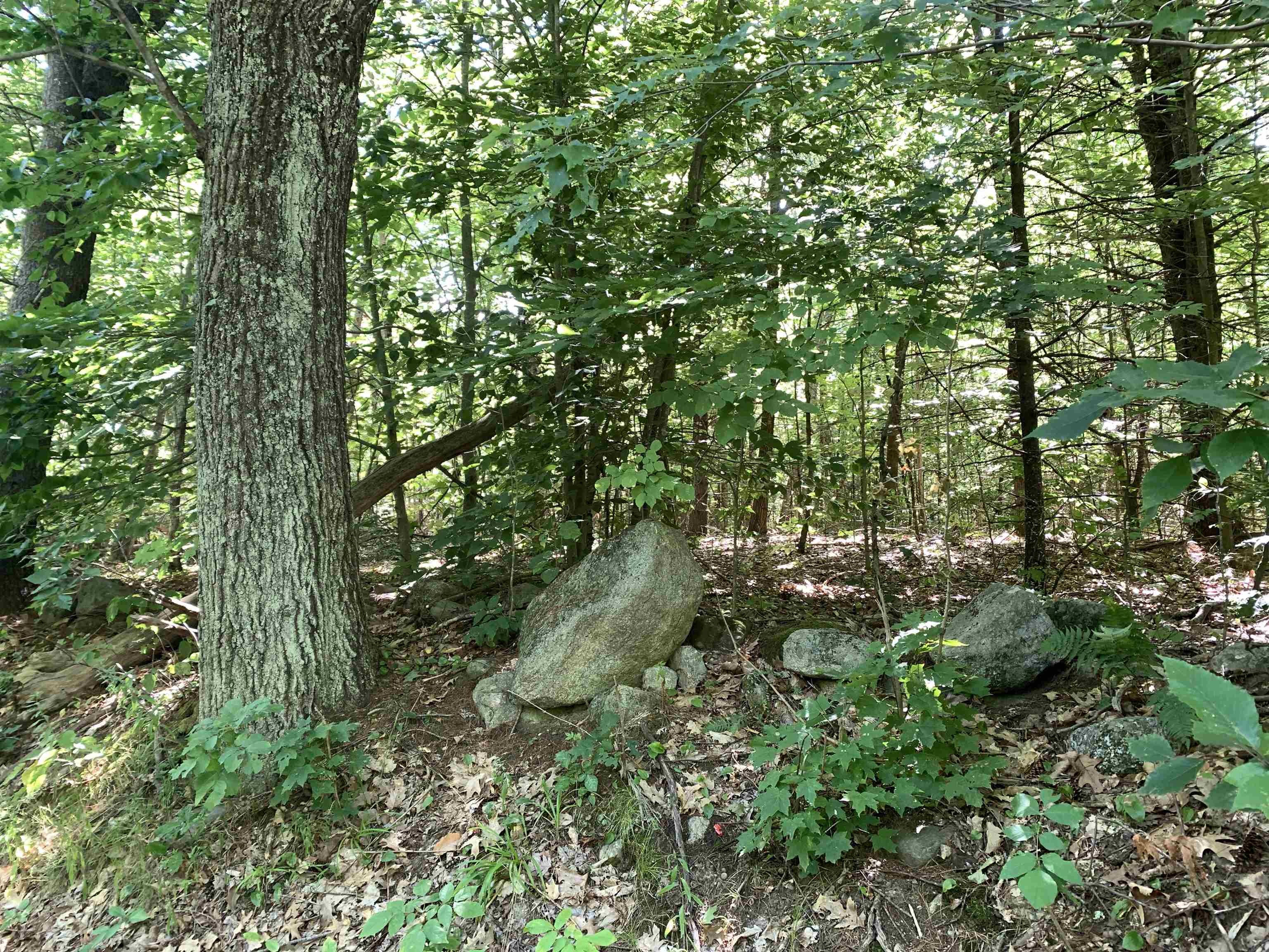 0 Reservation Road, Unit 621 Deerfield, NH 03037 - Photo 5 of 11