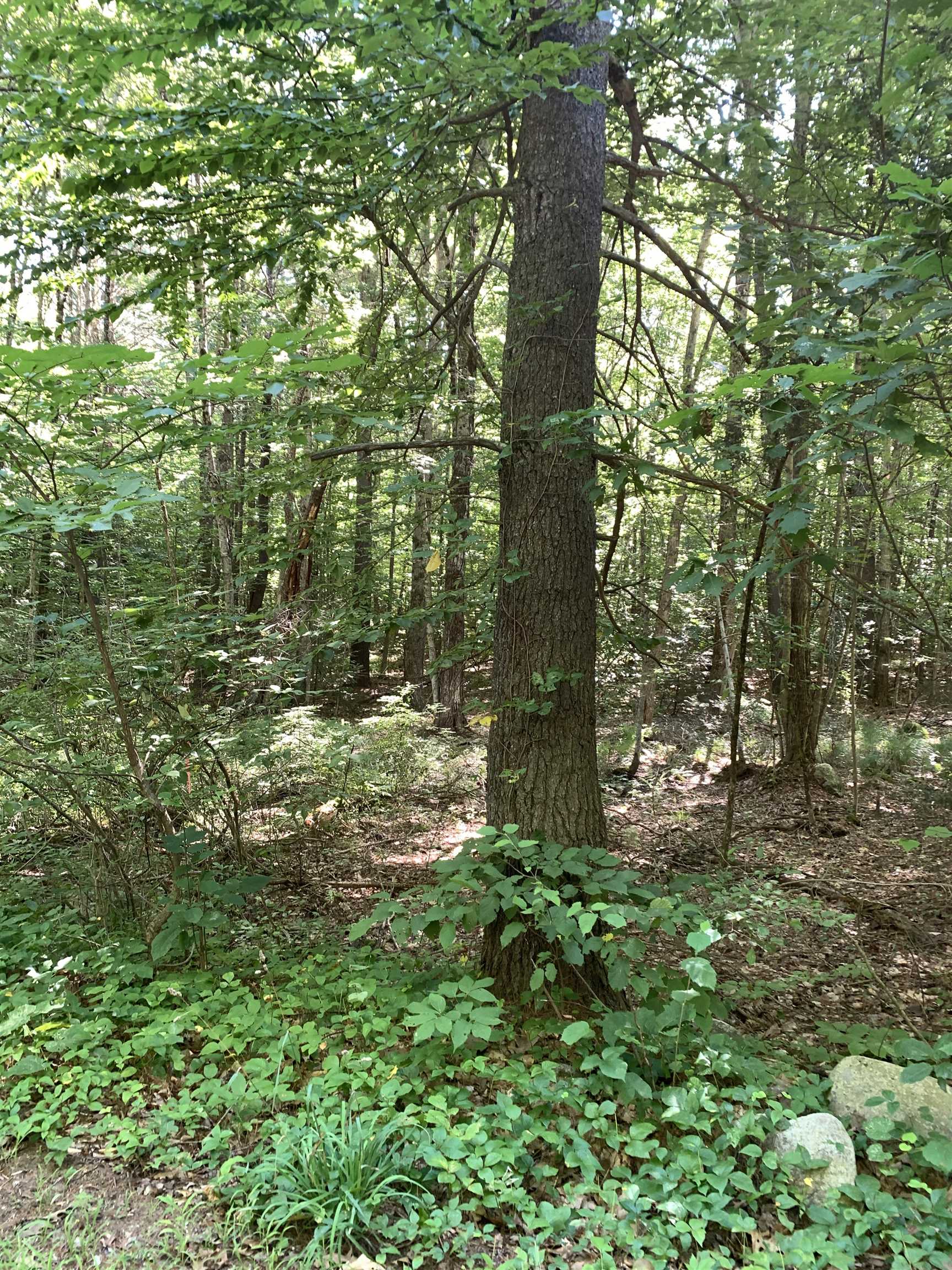 0 Reservation Road, Unit 621 Deerfield, NH 03037 - Photo 7 of 11