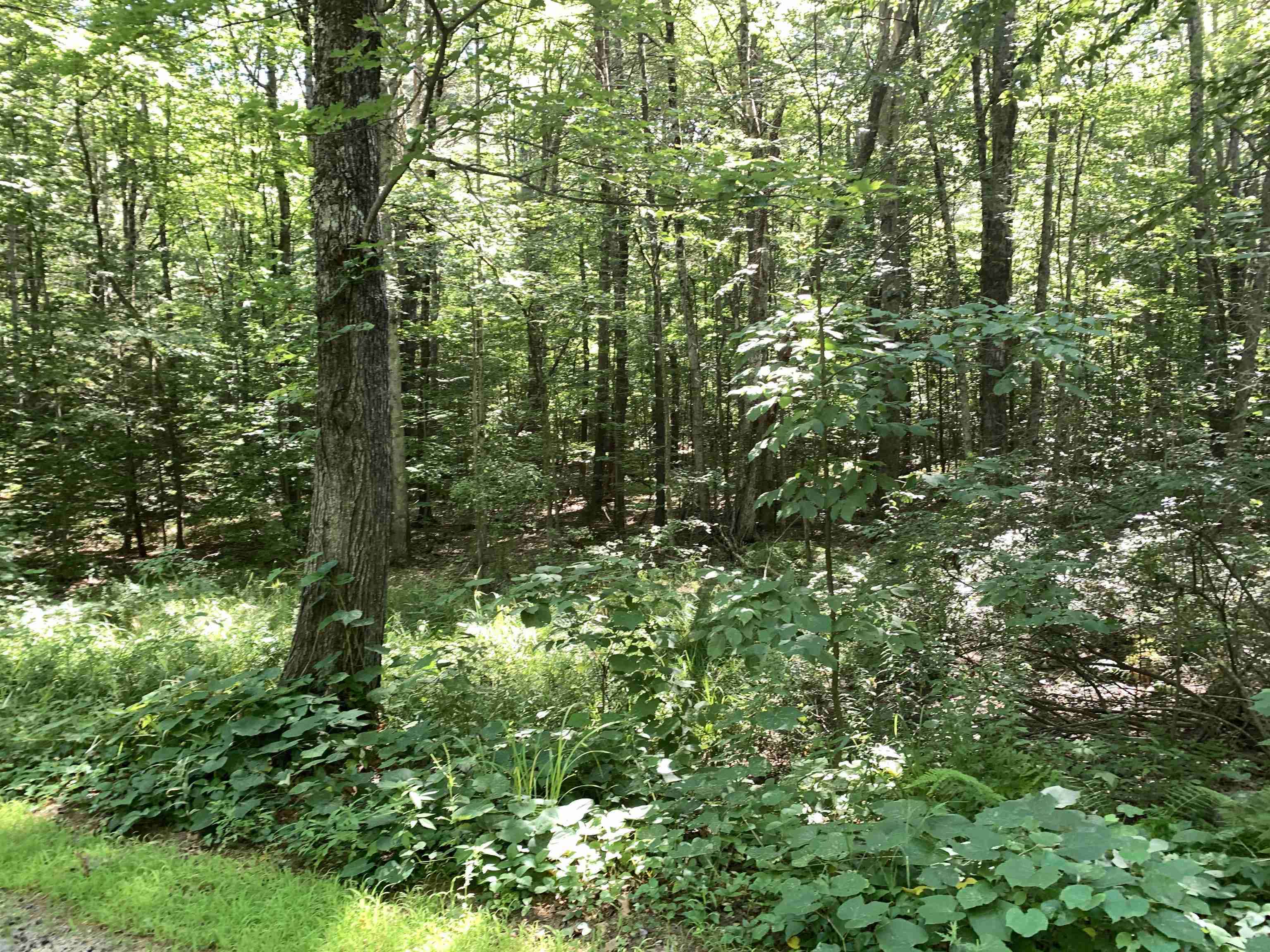 0 Reservation Road, Unit 621 Deerfield, NH 03037 - Photo 8 of 11
