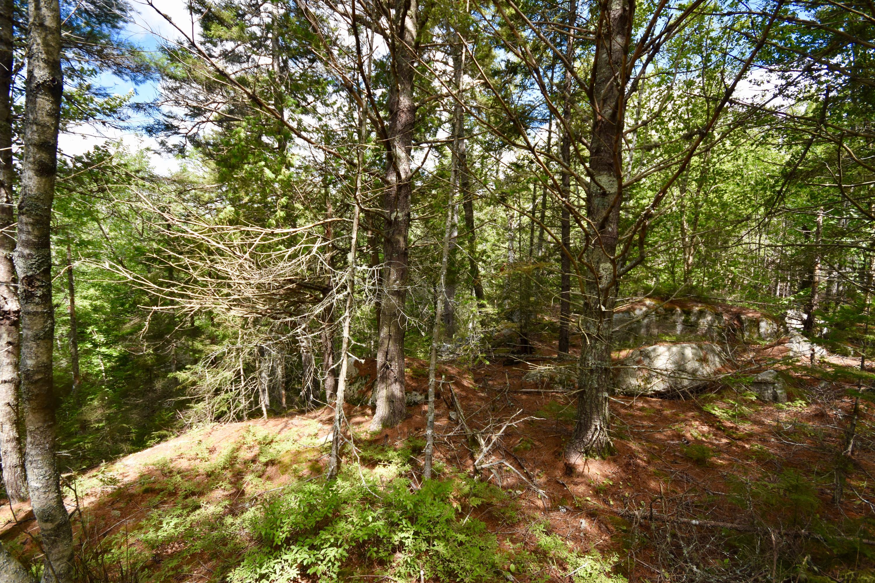 0 West Appleton Road Appleton, ME 04862 - Photo 5 of 13 DSC_0641