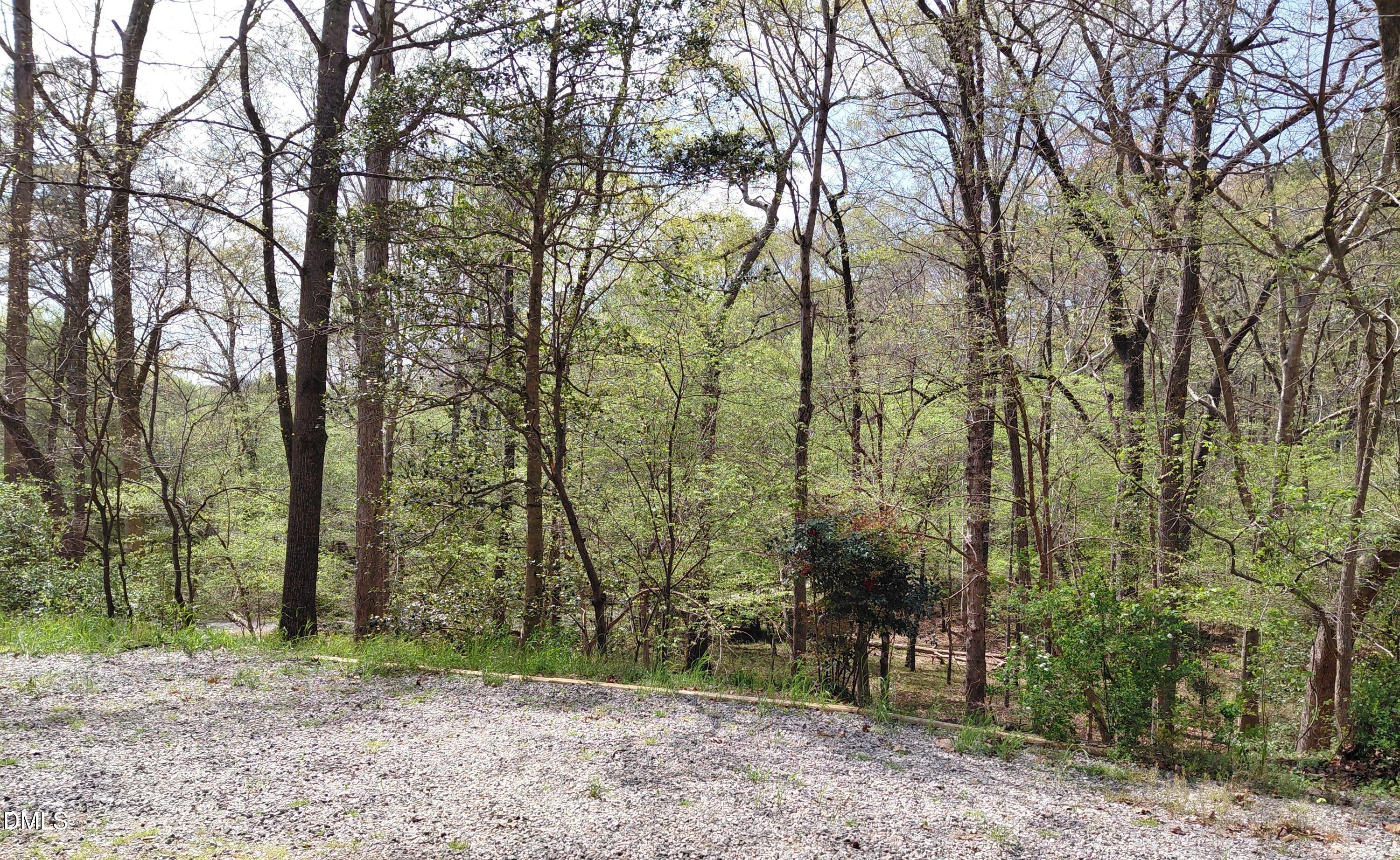 7901 River Ridge Road Wake Forest, NC 27587 - Photo 6 of 34 Woods In Back