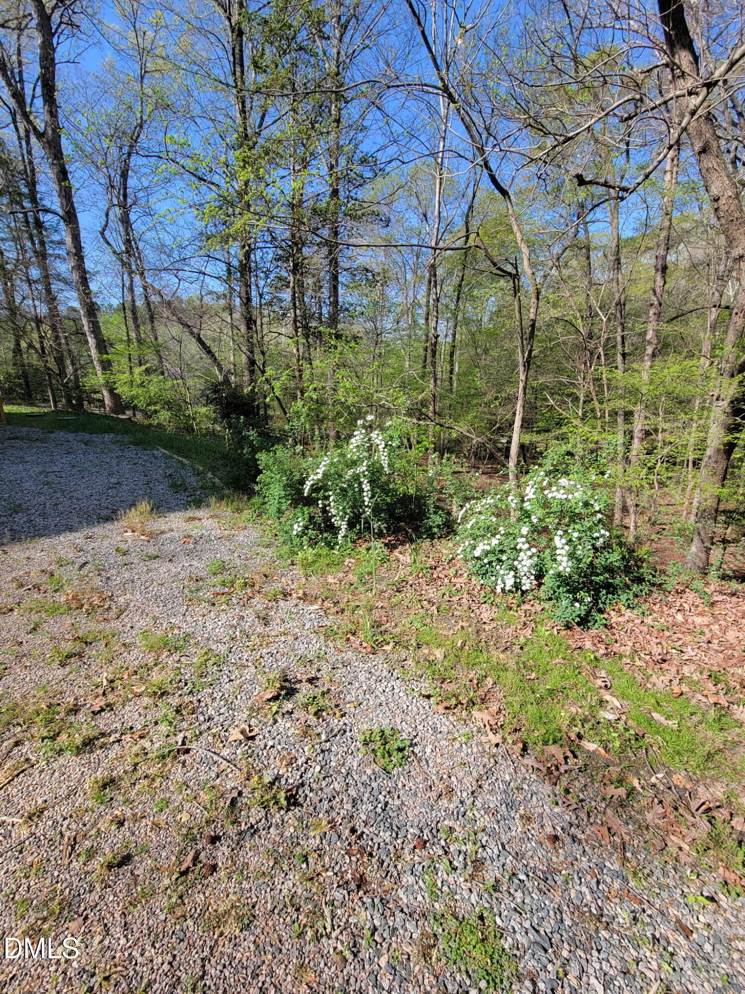 7901 River Ridge Road Wake Forest, NC 27587 - Photo 7 of 34 Back Woods