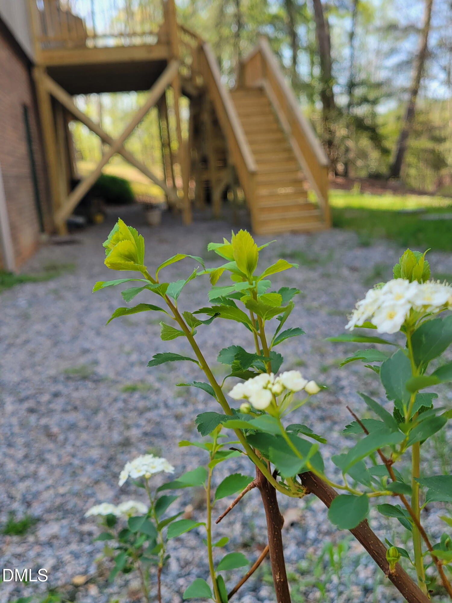 7901 River Ridge Road Wake Forest, NC 27587 - Photo 8 of 34 Back Of House
