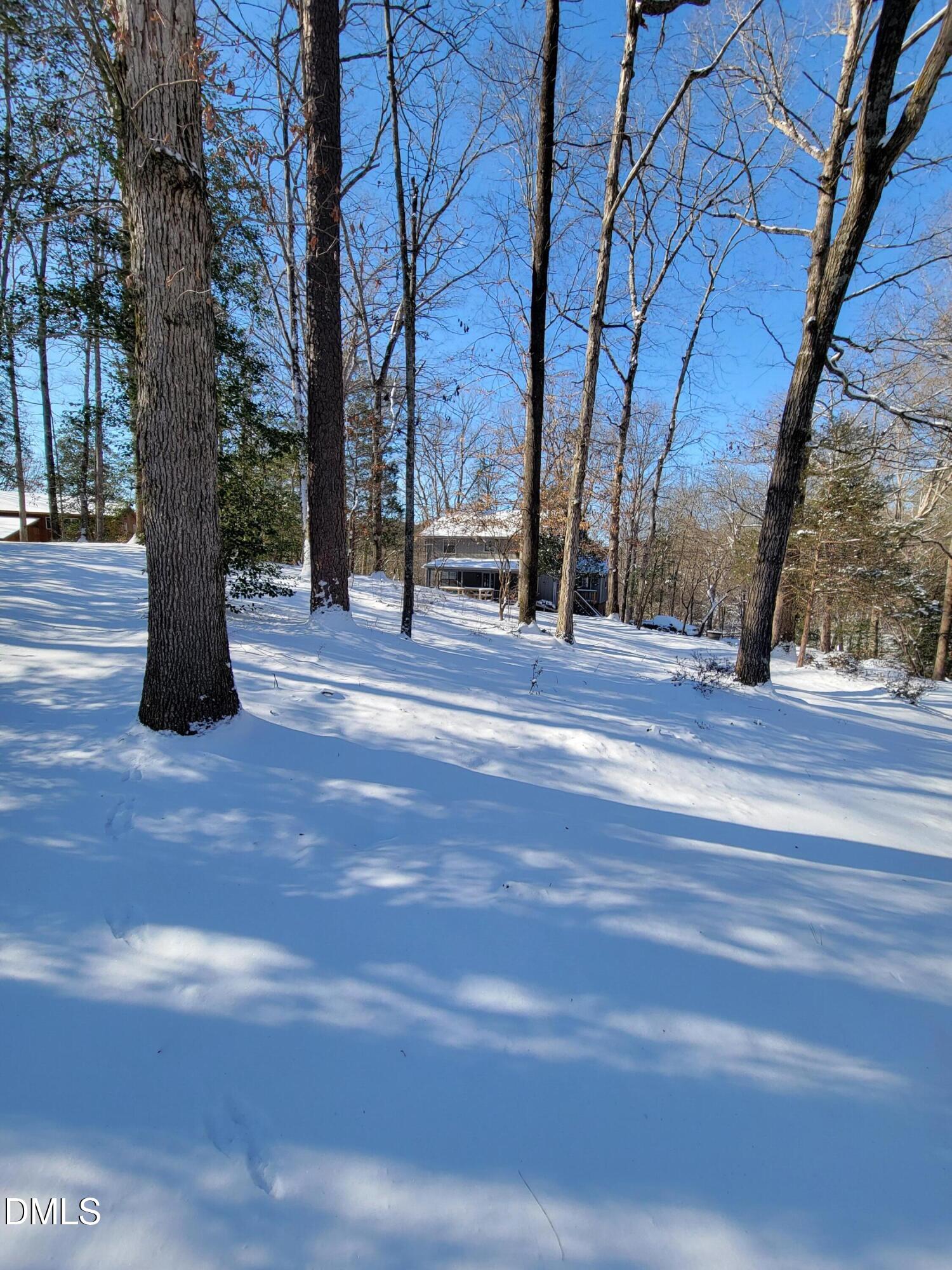 7901 River Ridge Road Wake Forest, NC 27587 - Photo 10 of 34 House and woods in snow