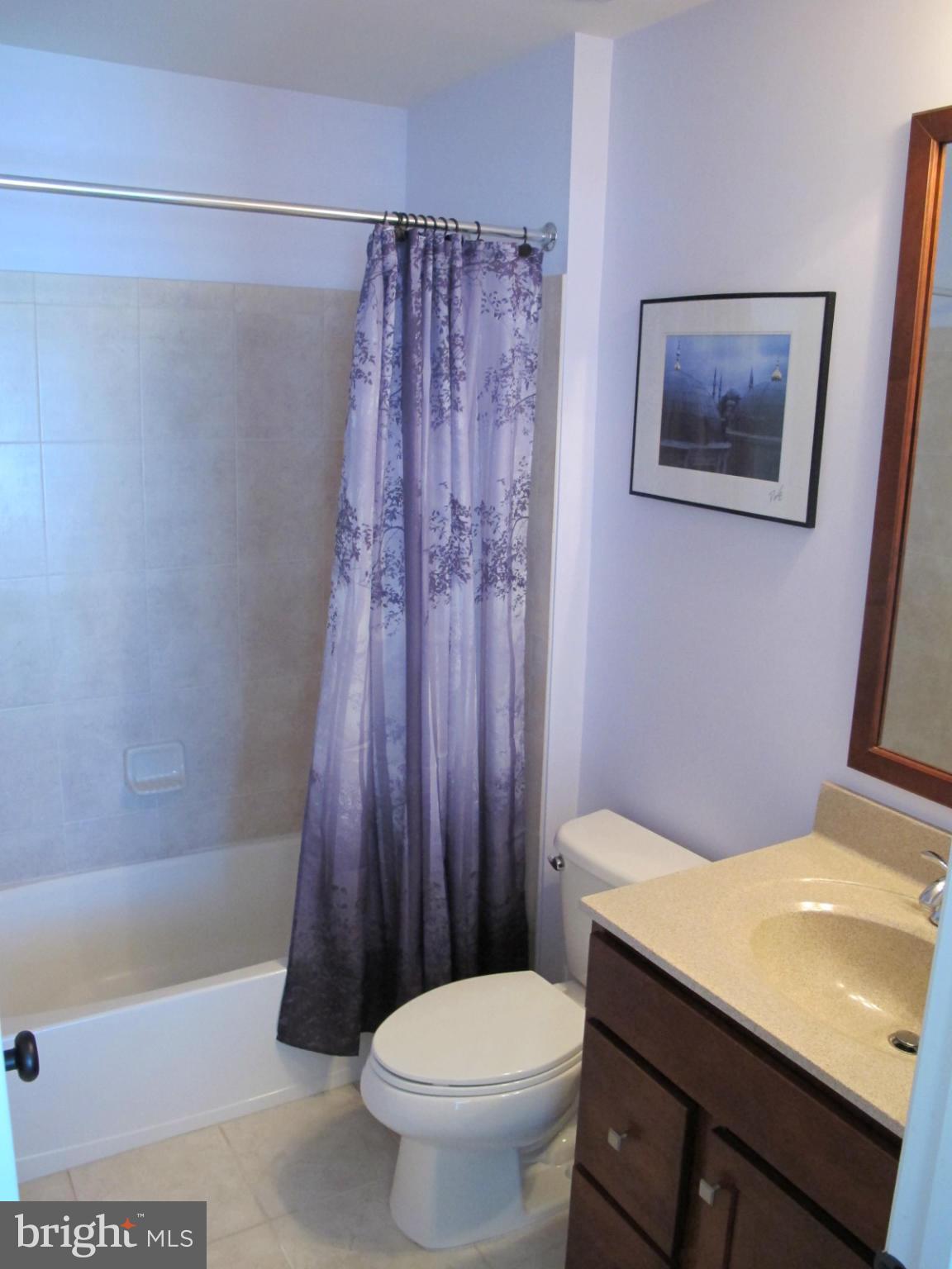 25430 South Riding Boulevard Chantilly, VA 20152 - Photo 19 of 30 Upper 2nd Master Bath