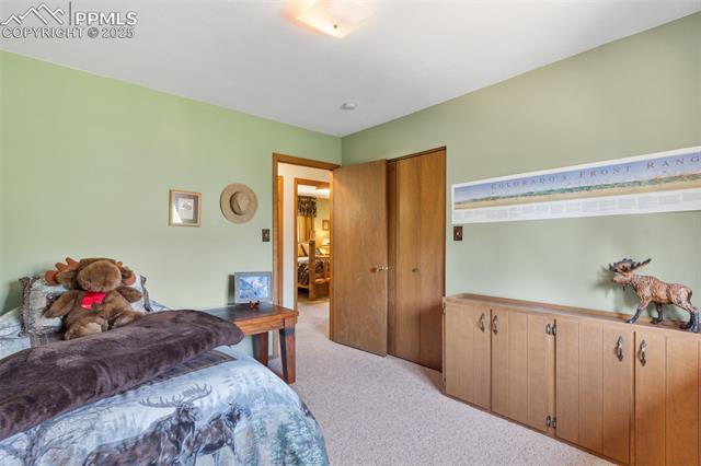 5580 Moosa Road Cascade, CO 80809 - Photo 22 of 35 Bedroom featuring light carpet and a closet