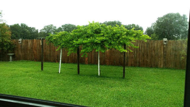 8927 Turf Creek Drive Foley, AL 36535 - Photo 3 of 9