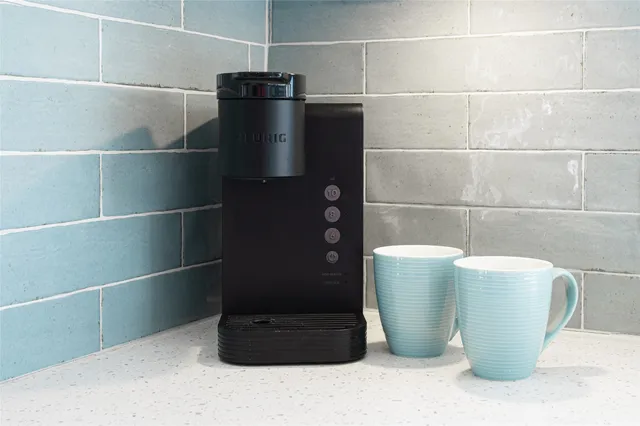 a room with a potted plant