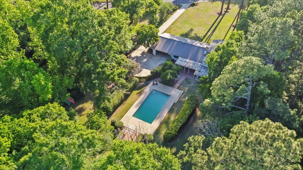 110 Pinetree Drive Dothan, AL 36303 - Photo 4 of 68