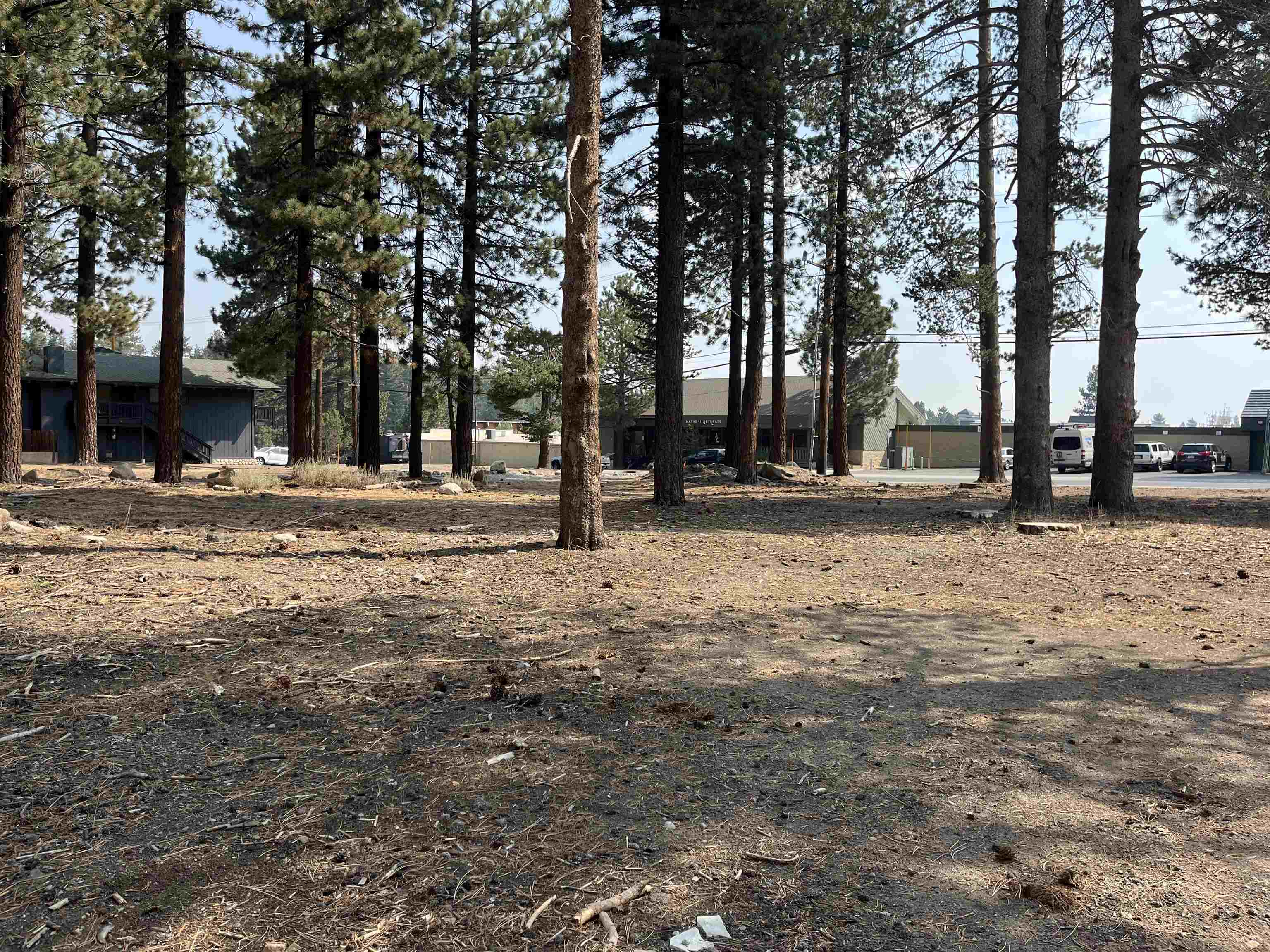 76 Laurel Mountain Road Mammoth Lakes, CA 93546 - Photo 4 of 30 Gallery Image 4