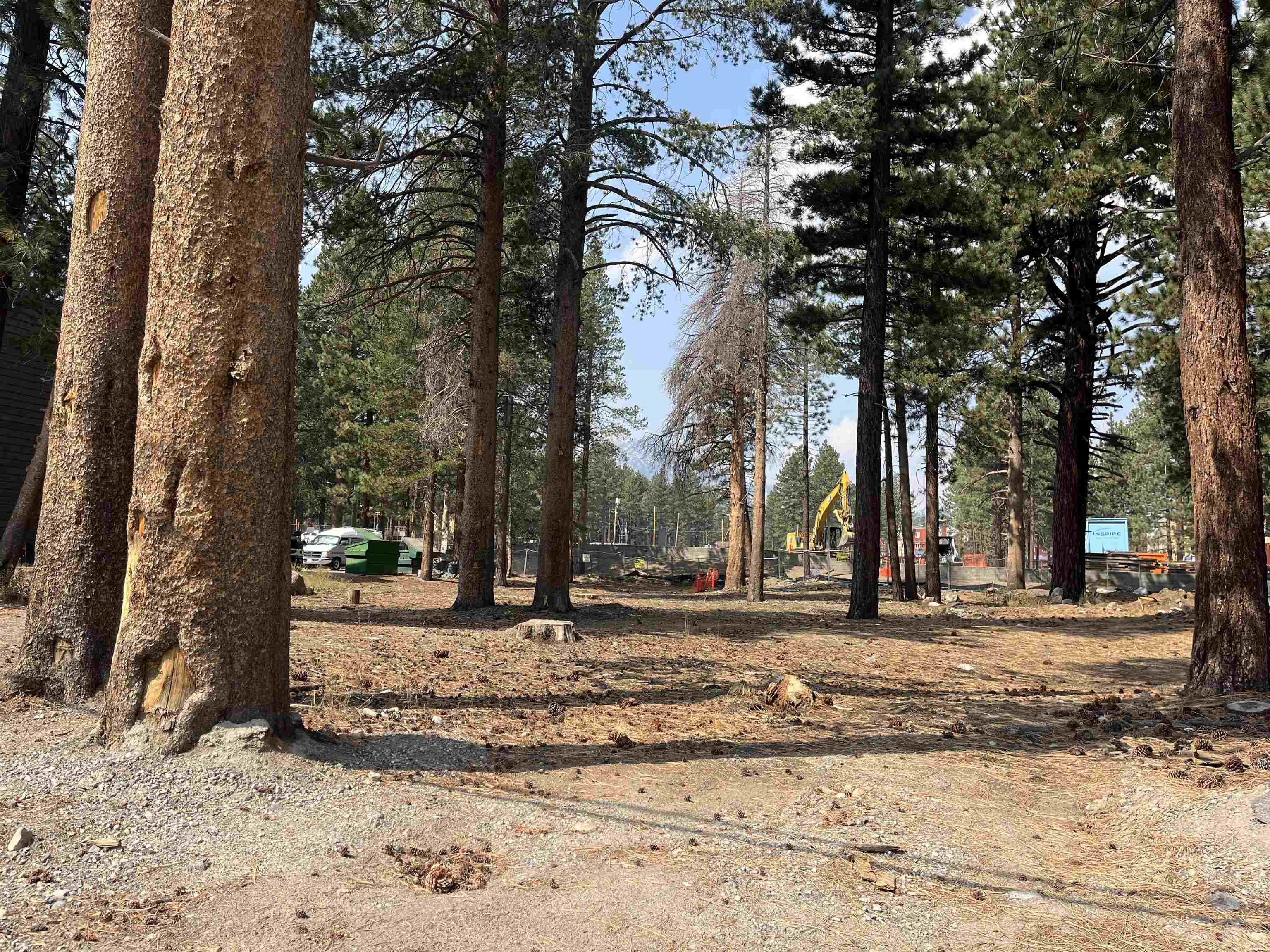76 Laurel Mountain Road Mammoth Lakes, CA 93546 - Photo 6 of 30 Gallery Image 6
