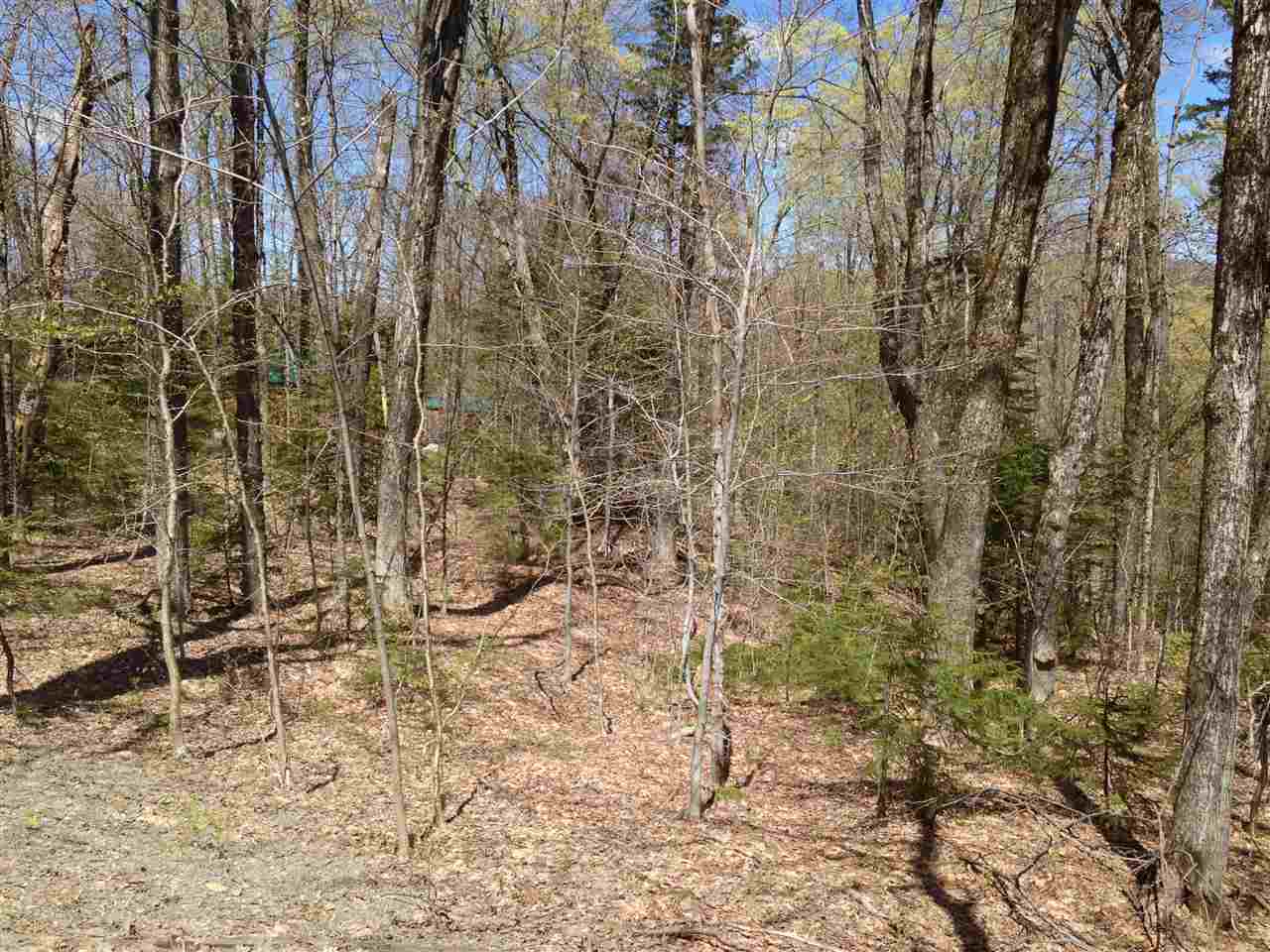 56 Johnson Hill Road West Dover, VT 05356 - Photo 2 of 3