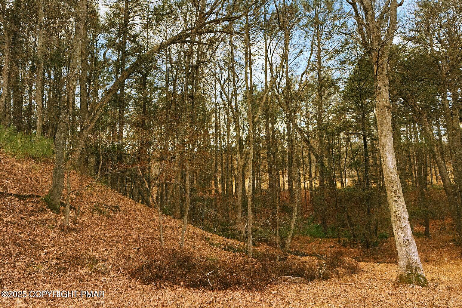 1131 Mink Court Bushkill, PA 18324 - Photo 22 of 63 22 The Way to Toms Creek