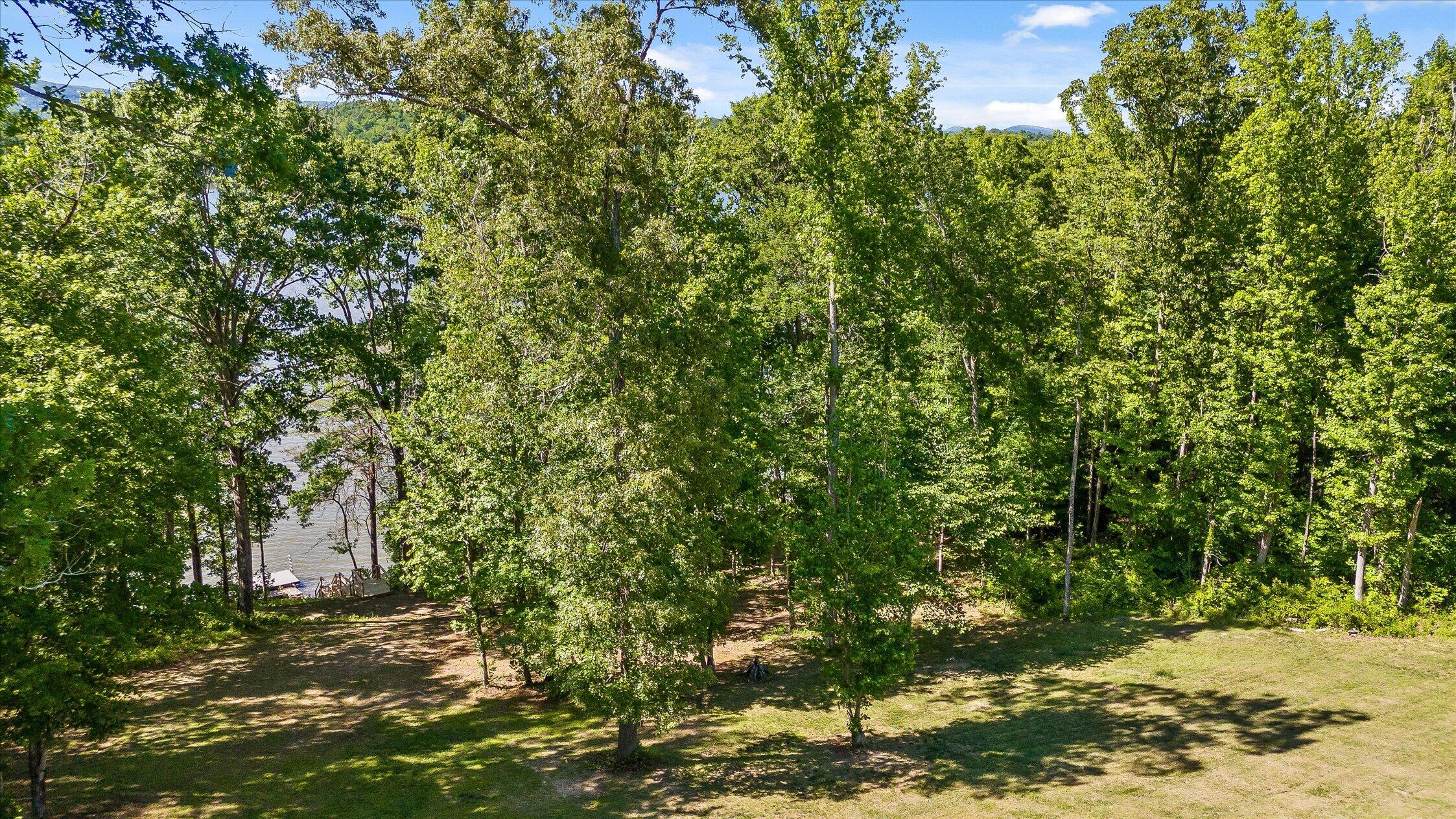 15025 May Road Sale Creek, TN 37373 - Photo 94 of 109 101-May-99