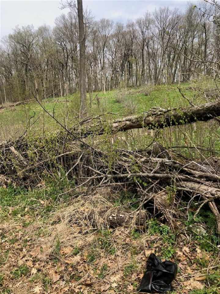 Cherry Grove Road Martelle, IA 52305 - Photo 3 of 3 Gallery Image 3