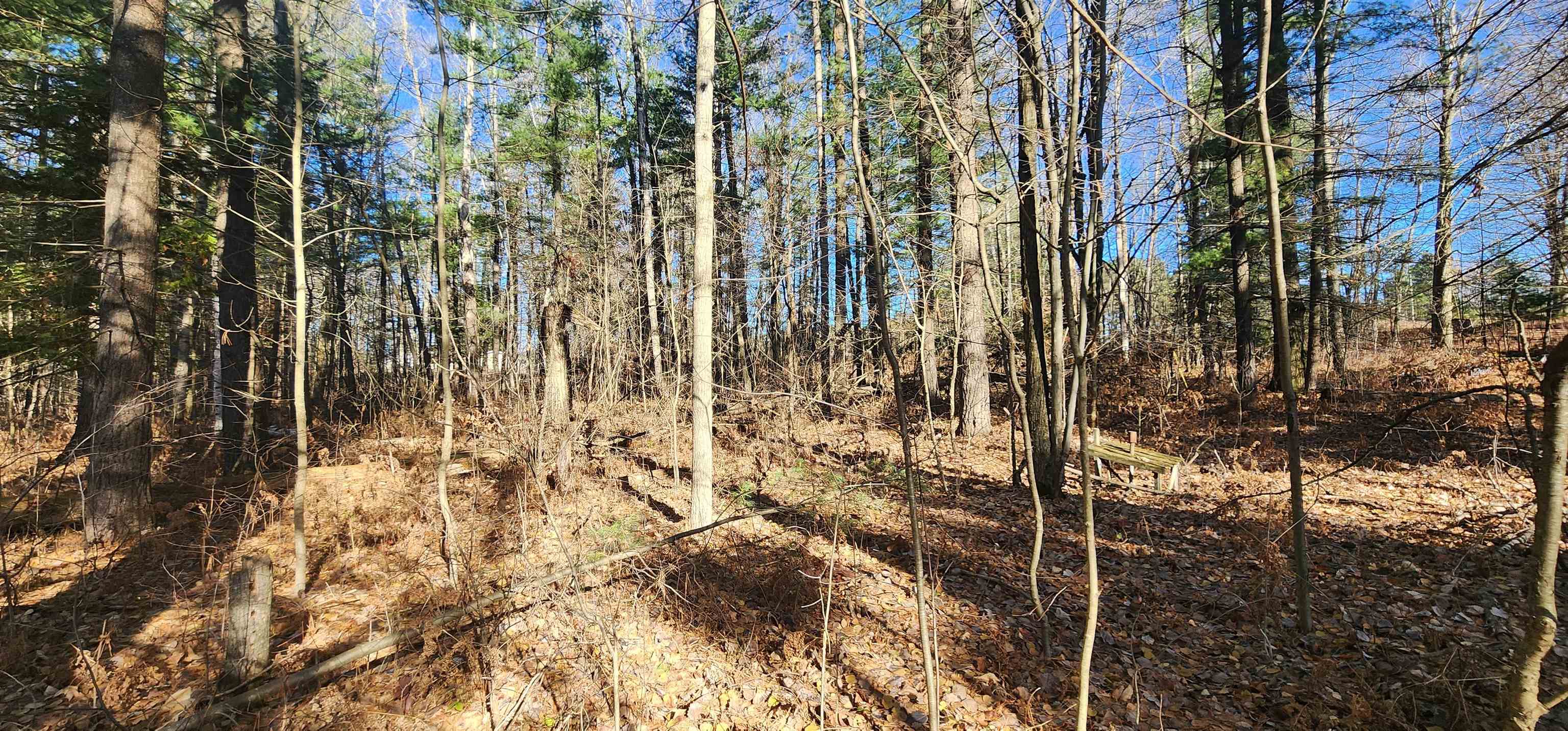 0 West Rainbow Road McBain, MI 49657 - Photo 10 of 13