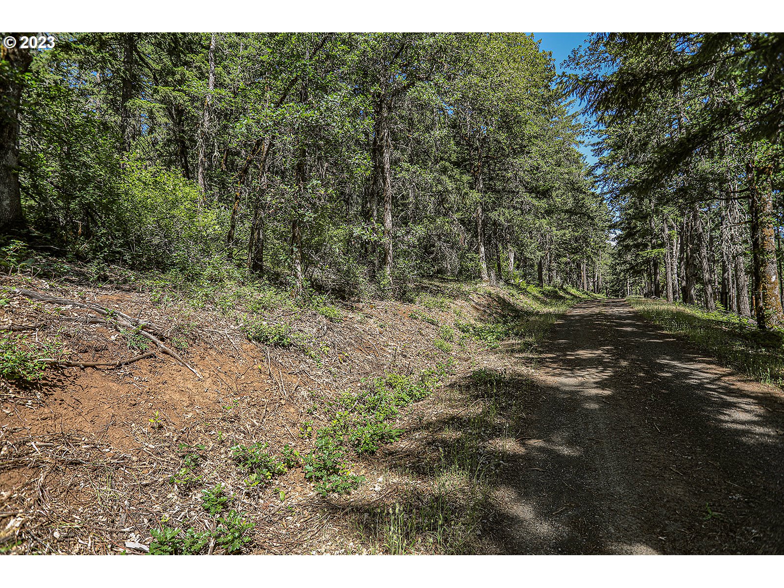 Lyons Road White Salmon, WA 98672 - Photo 21 of 35 Gallery Image 21