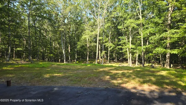 a big yard with trees in the background