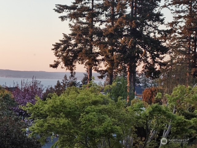 4806 Seahurst Avenue Everett, WA 98203 - Photo 21 of 40
