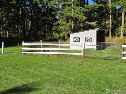 a view of a park with large trees