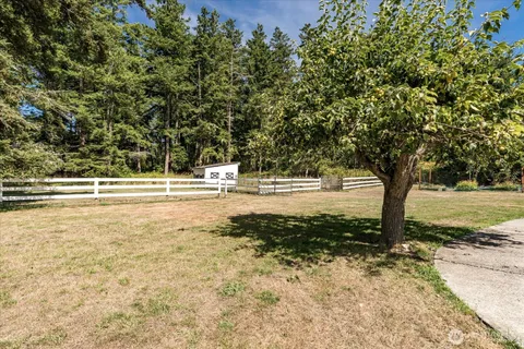 a view of a yard with large trees
