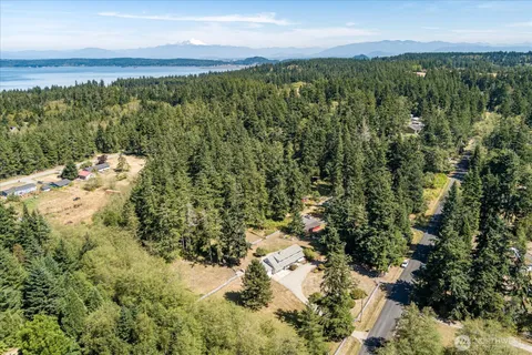 a view of a forest with a street