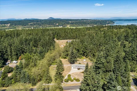 a view of a lake with a city