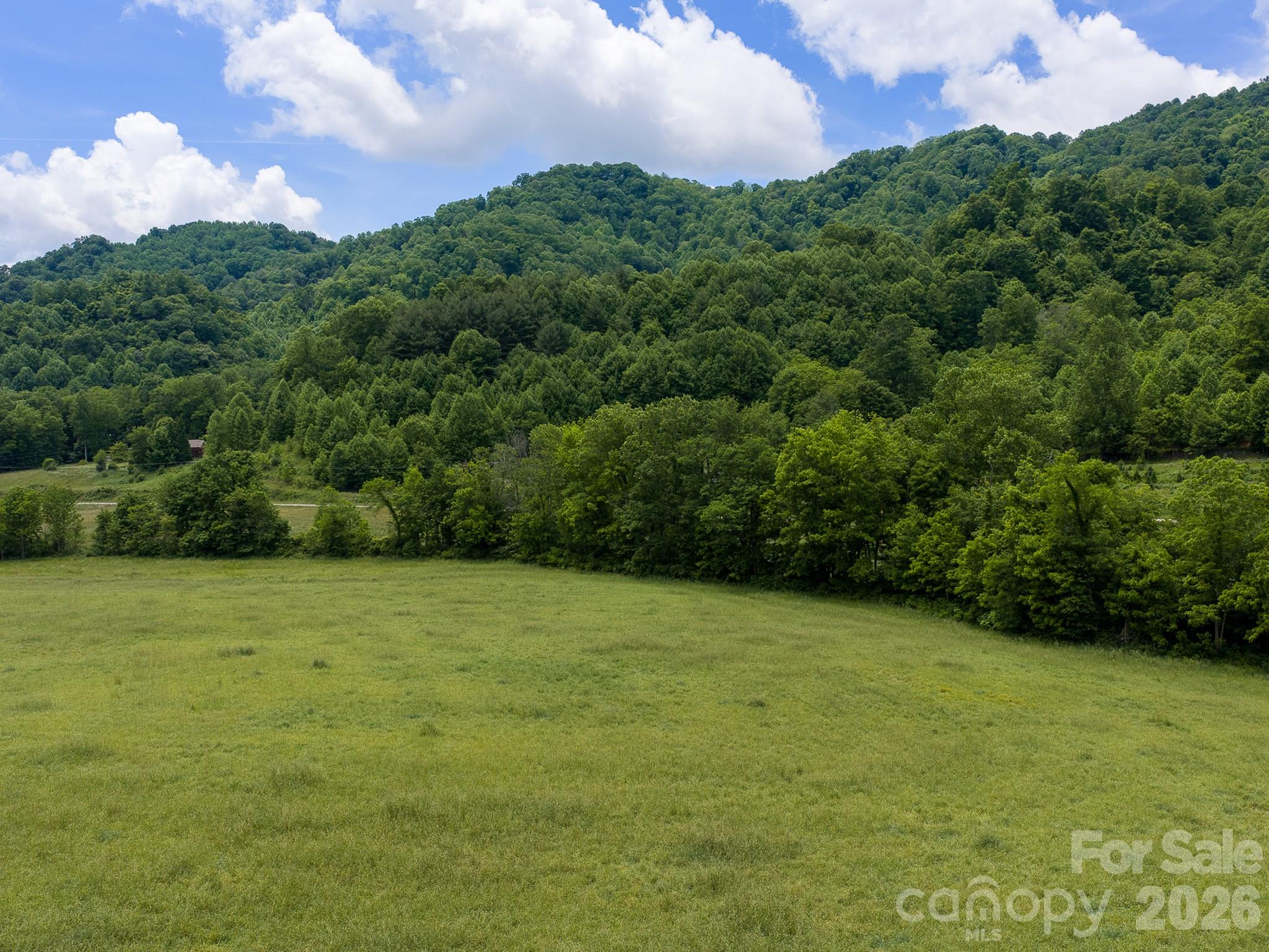 0 Sallys Branch Road Clyde, NC 28721 - Photo 12 of 22