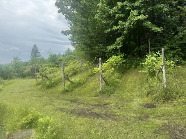 629 South Craftsbury Road Craftsbury, VT 05826 - Photo 43 of 54