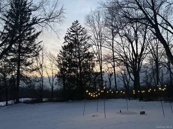 a view of outdoor space with trees
